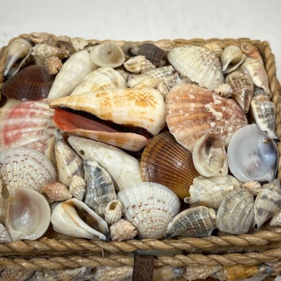 VTG Nautical Coastal Shell Encrusted Trinket, Jewelry Box, Sailor Valentine Box - Picture 5 of 10